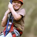 flying-fox---close-up-(1)