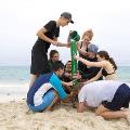 A group of participants having fun on the beach