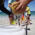 Closeup of a participant squeezing water out of a sponge on the beach